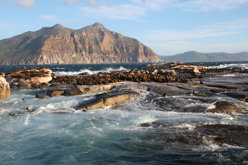 Cape Town